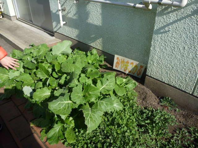 今年度最後のPPK！ありがとう表参道！画像