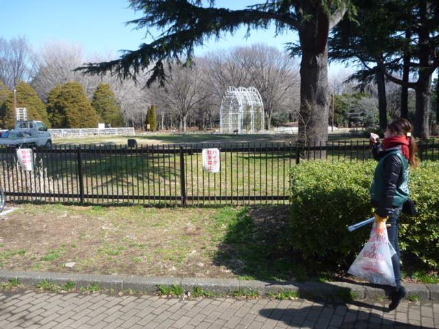 東京マラソン、お疲れさまでした！そして、今週末は&hellip;。画像