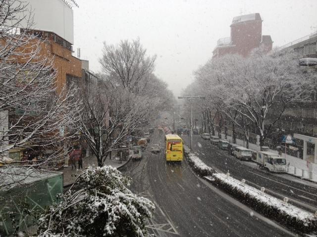 静かな雪の日。画像