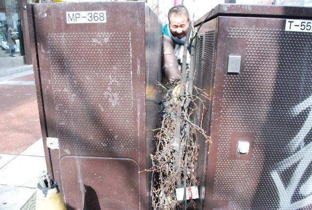 3/3 ひな祭りおそうじ〜♪画像