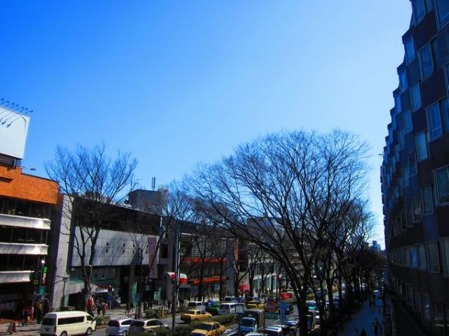 鮮やかな空！画像