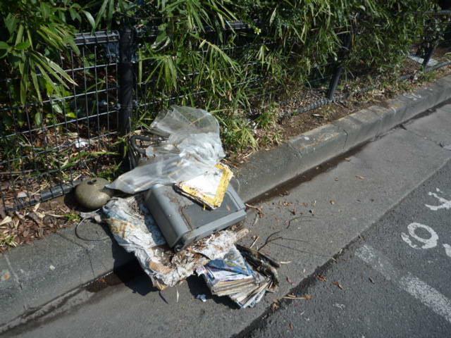 梅は咲いたぞ。桜はまだか画像