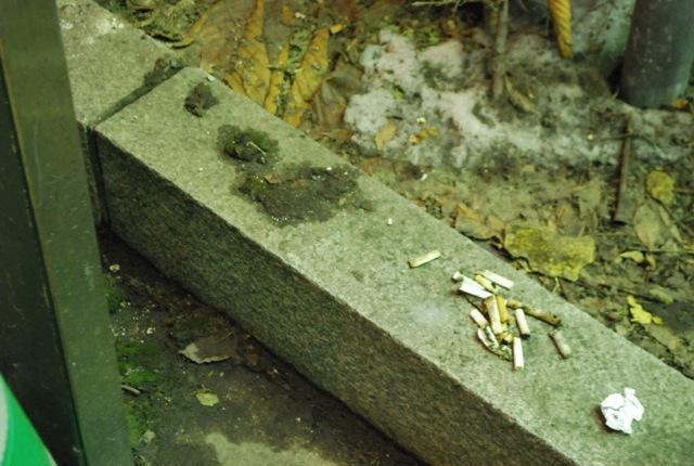 3/15 サッポロナイトそうじだい！画像