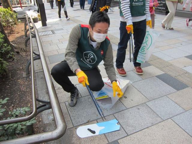 春が来ましたよー！画像