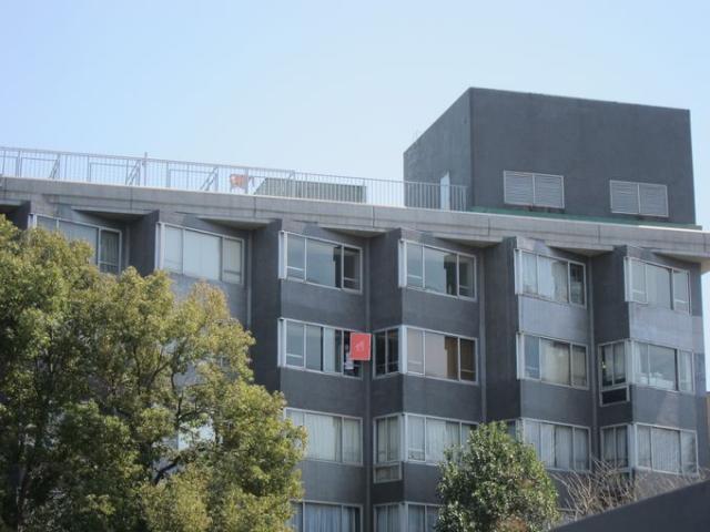 スペシャルゲストと共に一足お先にお花見そうじ！画像