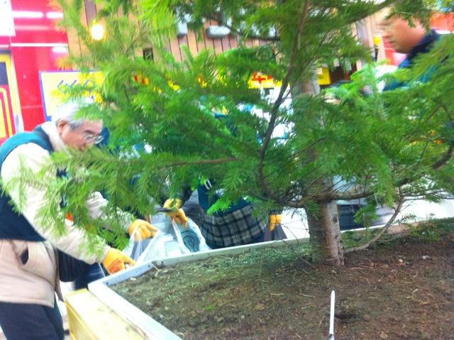 11/17 お寒うおそうじ！画像