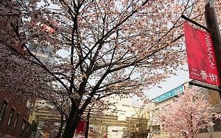 4/10 春が間近の朝そうじ♪画像