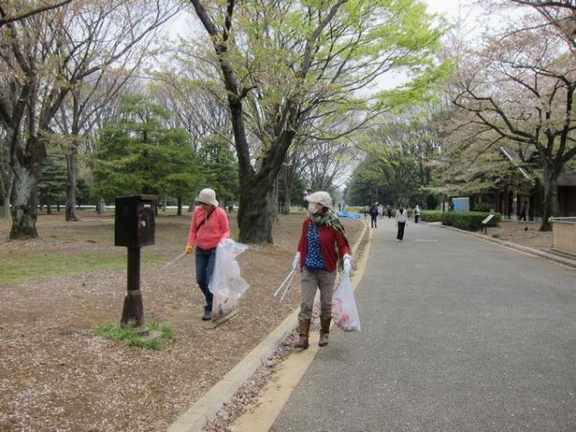 お花見のあとの代々木公園そうじ画像