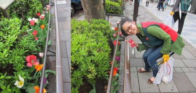 原宿表参道最新情報☆☆☆画像