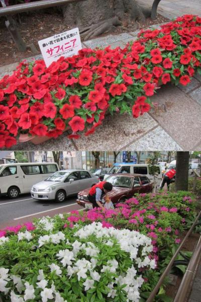 雨予報だったけどできちゃいました！画像