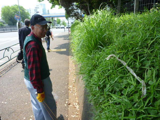 そだつちから。画像