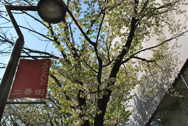 5/8 晴天のおそうじ！！画像