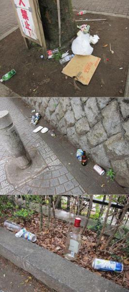 金環日食を観て早起きした朝は・・・画像