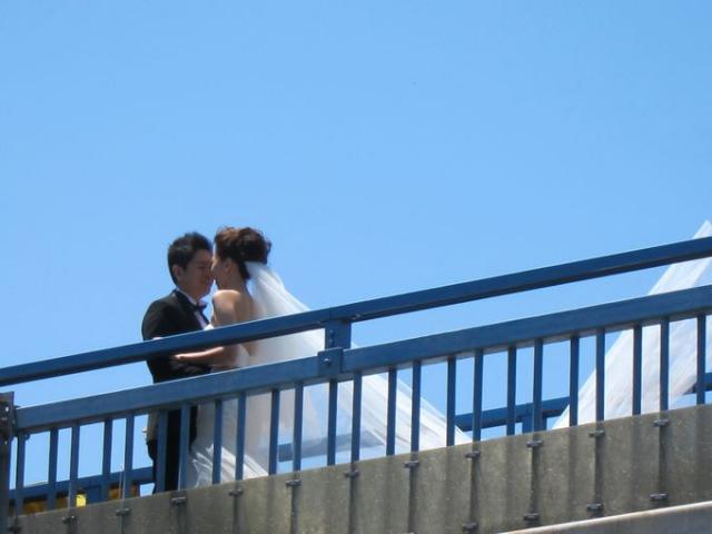 ぴかぴかの水曜日画像