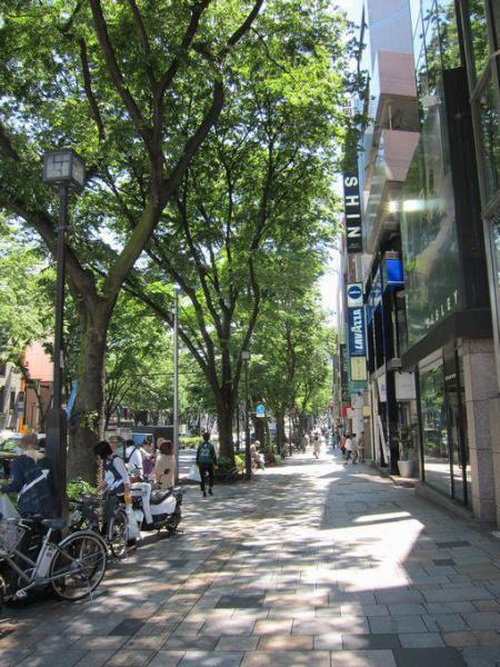 ぴかぴかの水曜日画像