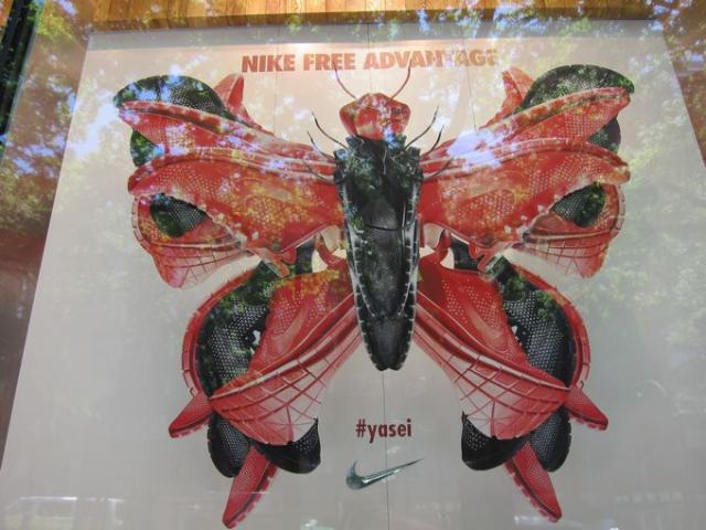 ぴかぴかの水曜日画像