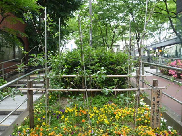 勇気をだして画像