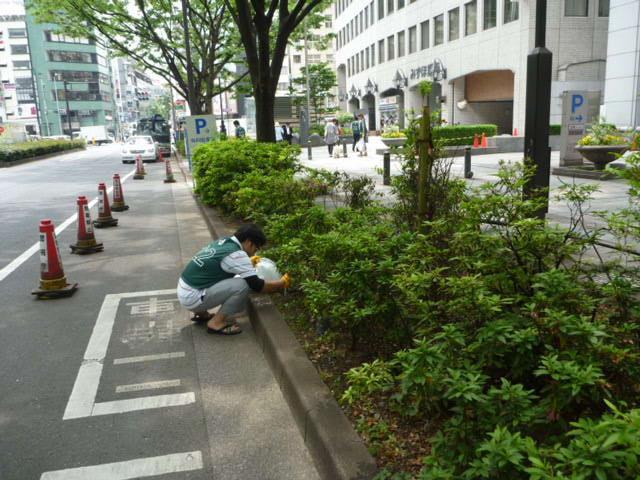 勇気をだして画像