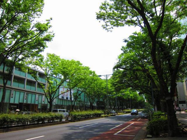 爽やか表参道そうじ画像