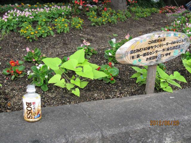 朝そうじ＠佐賀市役所画像