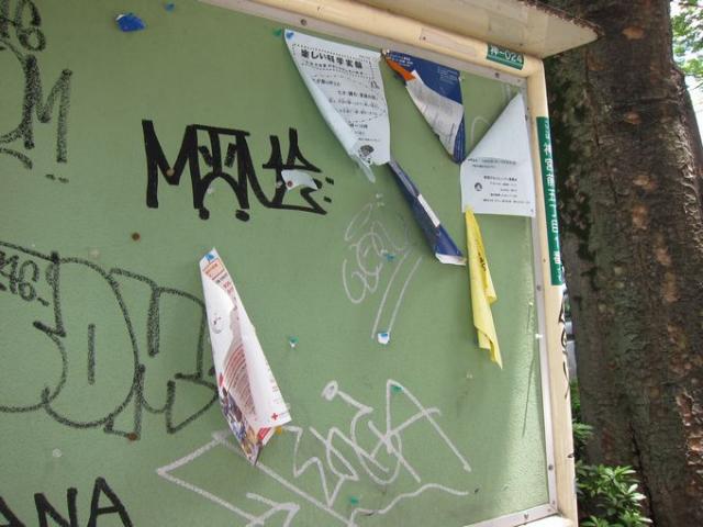 台風明けのそうじ画像