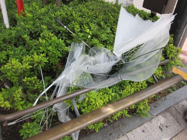 台風明けのそうじ画像