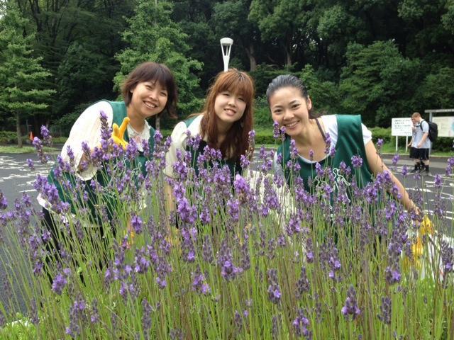 くもり空の第一歩画像