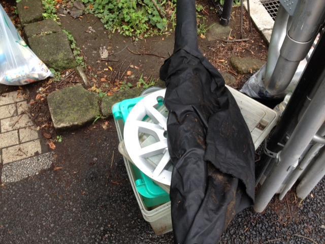 くもり空の第一歩画像