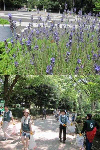 梅雨の晴れ間画像