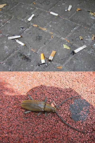 7月最後の木曜日！画像