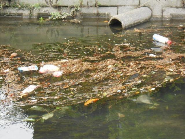 ８/２３朝そうじ＠佐賀城周辺画像