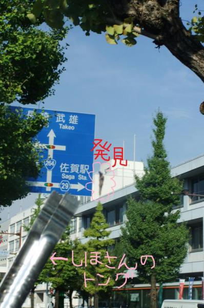 ９/１９朝そうじ＠佐賀城周辺画像