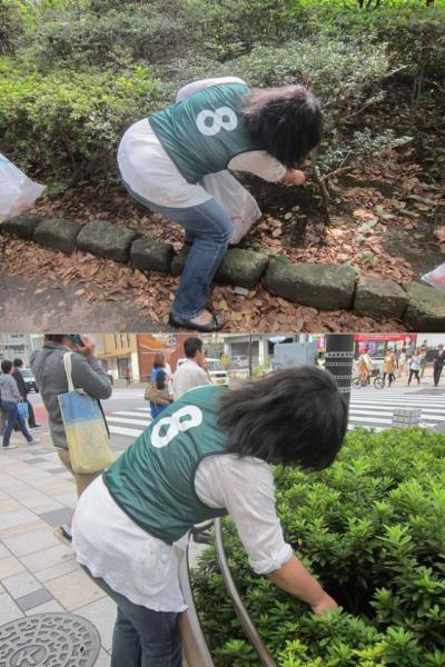 小さい秋みつけた♪画像