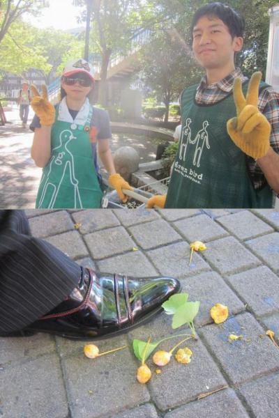 台風明けの都民の日画像