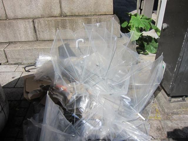 台風明けの都民の日画像