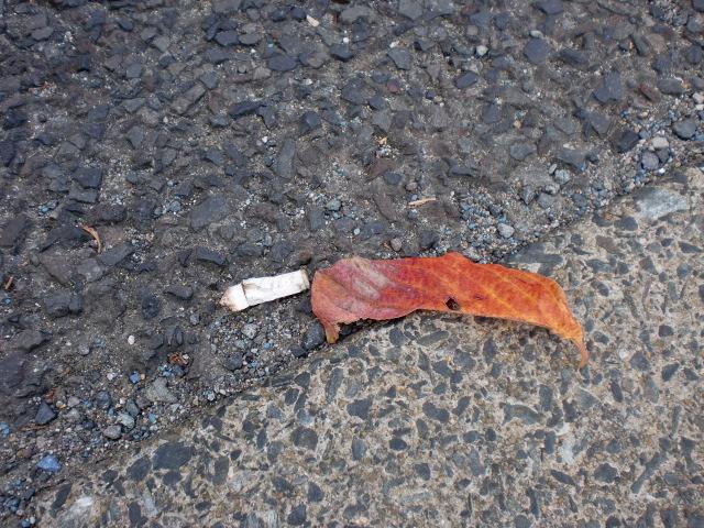 １０/１０朝そうじ＠佐賀城本丸周辺画像