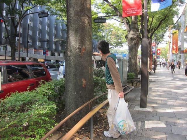 新米買ったよ〜！画像