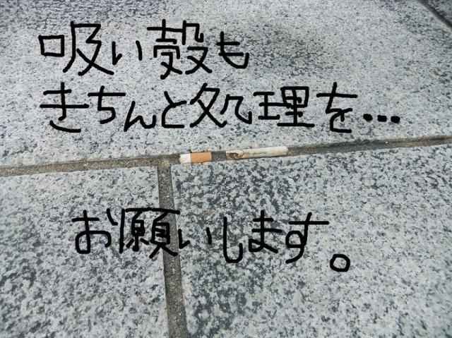 10/25 朝そうじ画像