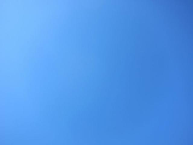 口笛吹きたくなるよね〜♪画像