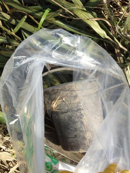 北新地チーム出張おそうじ（大和川）画像