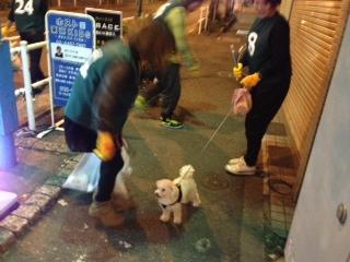 一ヶ月半ぶりのお掃除♪画像