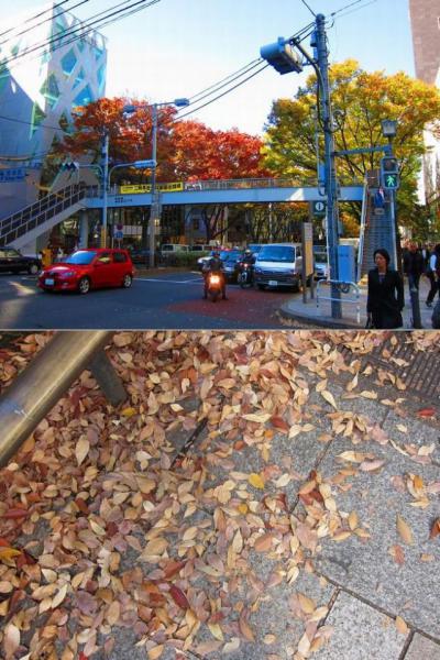 丘を越え行こうよ〜♪画像