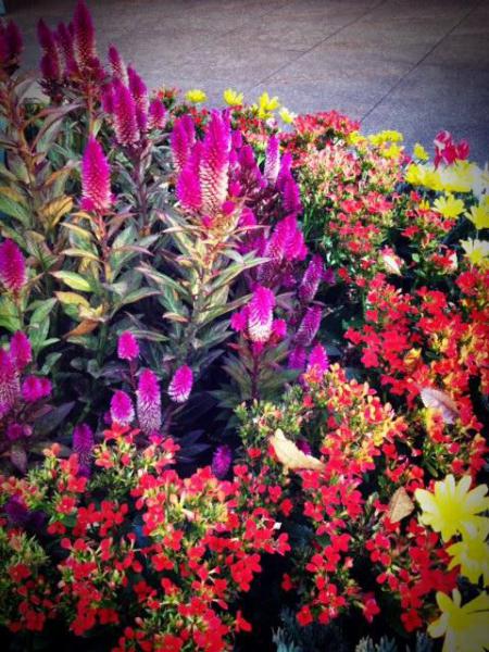 クイズ！！ここどこだ？画像