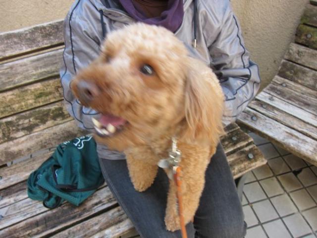 スポーツの秋ですから！画像