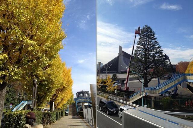 生姜焼きな気分の朝画像