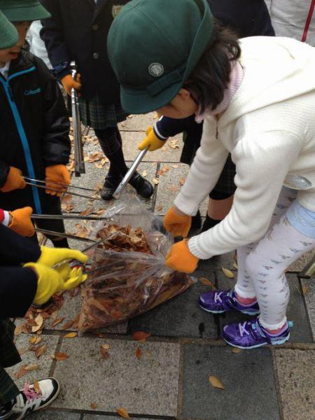 秋のピカピカケヤッキー！画像