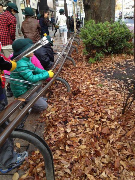 秋のピカピカケヤッキー！画像