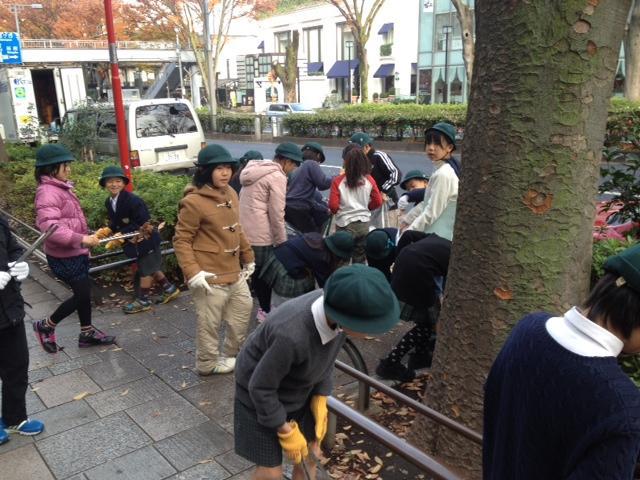 秋のピカピカケヤッキー！画像