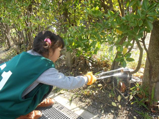 １２/１６（日）昼そうじ＠神野公園画像