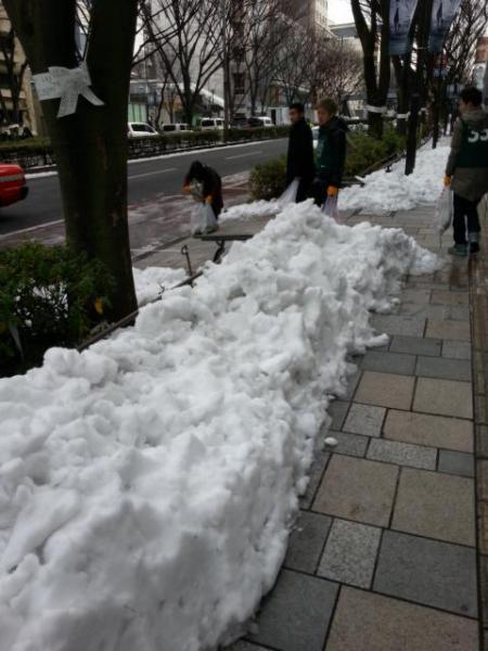 今日の雪かき！！画像